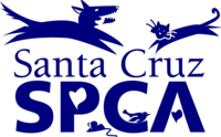Blue sc spca logo